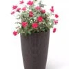 Weave Self-Watering Round Tall Planter, 12-1/2" -Garden Care Store 8598371 3000 tif