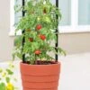 Gardener’s Victory Self-Watering Planter With Support System 2 Gardener’s Victory Self-Watering Planter With Support System -Garden Care Store 8598384 6012 tif