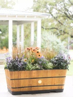 VegTrug™ Trough Planters 14 VegTrug™ Trough Planters -Garden Care Store 8598402 8880 tif