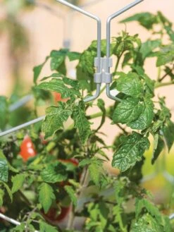 Gardener's Vertex Lifetime Tomato Cage -Garden Care Store 8598426 0011 tif