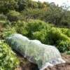 Insect Protection Tunnel -Garden Care Store 8598536 8225 tif