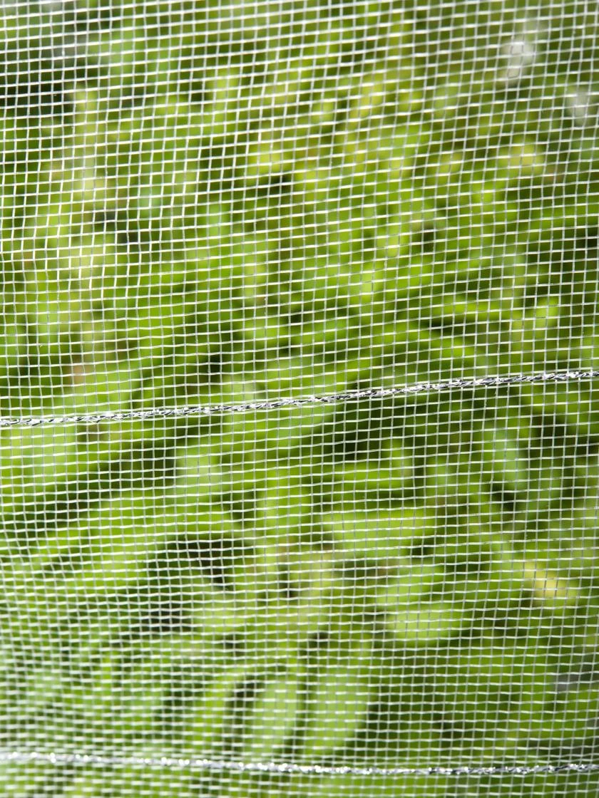 Insect Protection Tunnel 4 Insect Protection Tunnel - Image 2