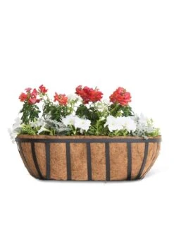 AquaSave™ Oxford Window And Deck Planters 9 AquaSave™ Oxford Window And Deck Planters -Garden Care Store 8598626 8809 tif