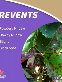 Captain Jack's™ Copper Fungicide Ready To Use, 1 Quart 5 Captain Jack's™ Copper Fungicide Ready To Use, 1 Quart -Garden Care Store 8598746 01V