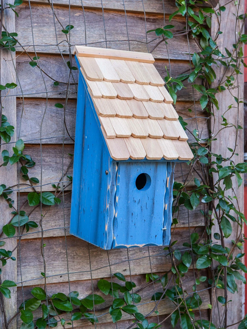 Heartwood Bluebird Bunkhouse Bird House 4 Heartwood Bluebird Bunkhouse Bird House - Image 2