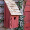Heartwood Bluebird Bunkhouse Bird House 2 Heartwood Bluebird Bunkhouse Bird House -Garden Care Store 8598855rw 02v heartwood bluebird bunkhouse bird house redwood