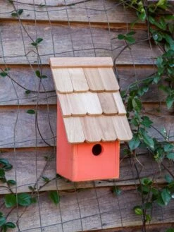 Heartwood Fruit Coops Bird House -Garden Care Store 8598856 04v