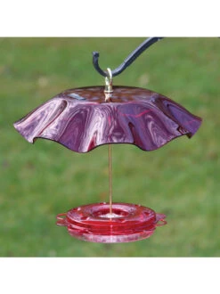 Birds Choice™ Hummingbird Nectar Feeder With Weather Guard Kit 7 Birds Choice™ Hummingbird Nectar Feeder With Weather Guard Kit -Garden Care Store 8598910 01v