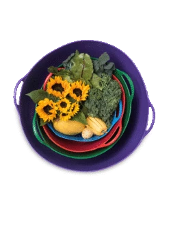 Colorful Tubtrug, 3-1/2 Gallon -Garden Care Store 8599088 20GalTubTrug gif 1