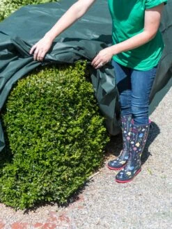 The Planket® Frost Protection Plant Cover, 10' X 20' -Garden Care Store 8599101 0929 tif