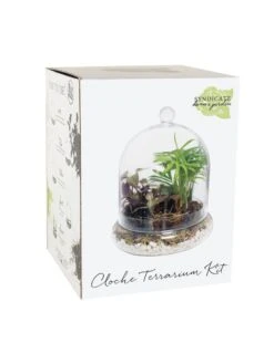 Cloche Terrarium Kit Medium -Garden Care Store 8599148 01v