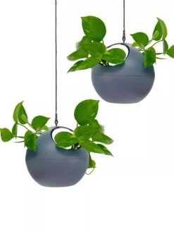 Exaco Euro Hanging Planters, Set Of 2 9 Exaco Euro Hanging Planters, Set Of 2 -Garden Care Store 8599179 04V tif