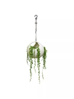 Exaco Euro Hanging Planters, Set Of 2 8 Exaco Euro Hanging Planters, Set Of 2 -Garden Care Store 8599179 06V tif