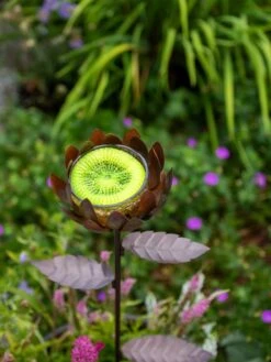 Dahlia Butterfly Feeder -Garden Care Store 8599369 683 tif