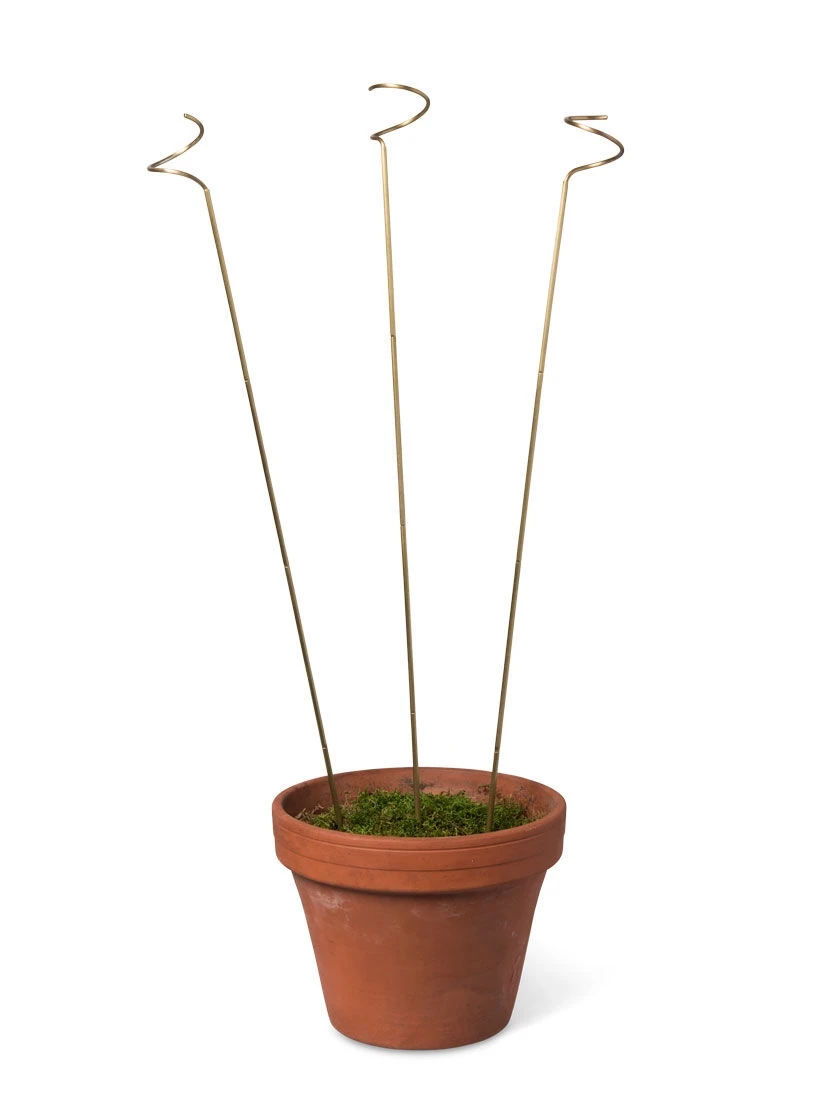Adjustable Amaryllis Stakes, Set Of 3 4 Adjustable Amaryllis Stakes, Set Of 3 - Image 2