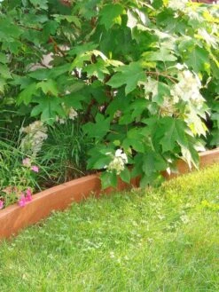 Curved Landscape Edging Kit With 2" Boards -Garden Care Store 8599407 03V tif