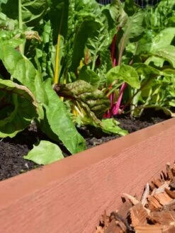 Straight Landscape Edging Kit With 2" Boards -Garden Care Store 8599408 02V tif