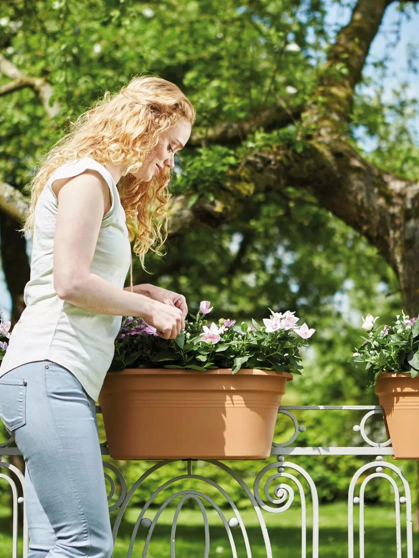 Exaco Trading Corsica Oval Bridge Planter With Cover 3 Exaco Trading Corsica Oval Bridge Planter With Cover