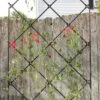 Achla Designs Freestanding Lattice Trellis -Garden Care Store 8599475 01V tif