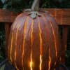 Desert Steel Pumpkin Luminary, Tall -Garden Care Store 8599559 02v
