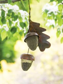 Acorn Bird Feeder -Garden Care Store 8599573 14075 tif