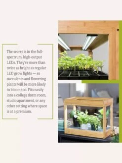 Bamboo Mini LED Grow Light Garden -Garden Care Store 8599624 06