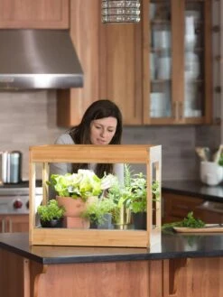 Bamboo Mini LED Grow Light Garden -Garden Care Store 8599624 12532 tif