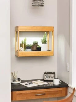 Bamboo Mini LED Grow Light Garden -Garden Care Store 8599624 12872 tif