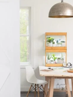 Bamboo Mini LED Grow Light Garden -Garden Care Store 8599624 13244 tif