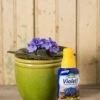Espoma Violet! Plant Food 2 Espoma Violet! Plant Food -Garden Care Store 8599781 18437 espoma violet plant food liquid fertilizer