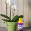 Espoma Orchid! Plant Food -Garden Care Store 8599783 18431 tif