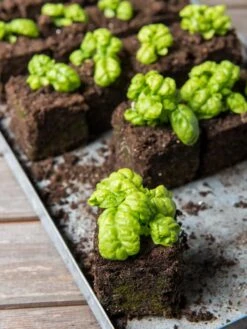 Soil Blocker, 4 Cell -Garden Care Store 8599790 1057 tif