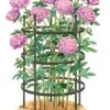 Titan Peony Supports, Large, Set Of 2 2 Titan Peony Supports, Large, Set Of 2 -Garden Care Store 8599857 0001 art tif