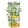 Titan Pepper Eggplant Cages, Set Of 3 -Garden Care Store 8599859 0001 art tif