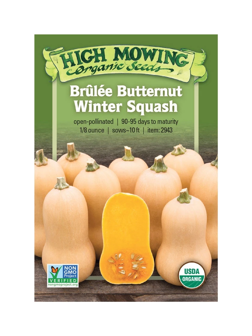 Brulee Butternut Squash Organic Seeds 3 Brulee Butternut Squash Organic Seeds