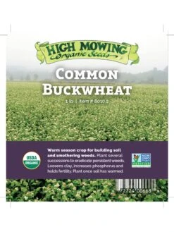 Common Buckwheat Organic Seeds -Garden Care Store 8599871 04v