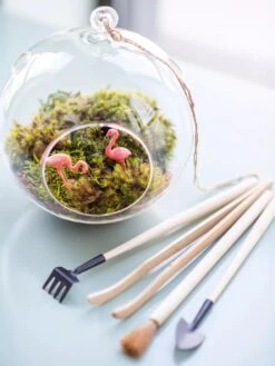 Terrarium Tools, Set Of 4 -Garden Care Store 8599884 01V tif