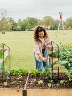 Zenith Folding Garden Supports, Set Of 2 -Garden Care Store 8600073 324 tif