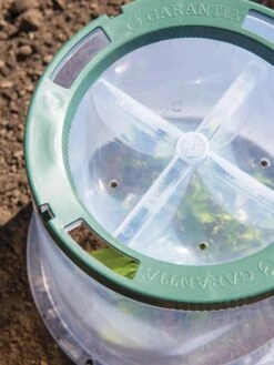 Sunny Forcing Cloches, Set Of 3 11 Sunny Forcing Cloches, Set Of 3 -Garden Care Store 8600075 0742 tif