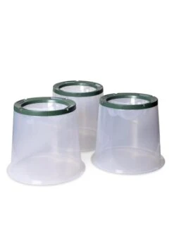 Sunny Forcing Cloches, Set Of 3 10 Sunny Forcing Cloches, Set Of 3 -Garden Care Store 8600075 24 tif