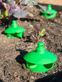 Slug And Snail Traps, Set Of 3 -Garden Care Store 8600120 1788