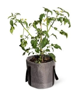 Reinforced Colorful Grow Bags 13 Reinforced Colorful Grow Bags -Garden Care Store 8600229 0944 tif