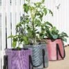 Reinforced Colorful Grow Bags 2 Reinforced Colorful Grow Bags -Garden Care Store 8600229 19957 tif