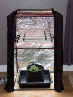 Hemp Grow Kit -Garden Care Store 8600301 0590 tif