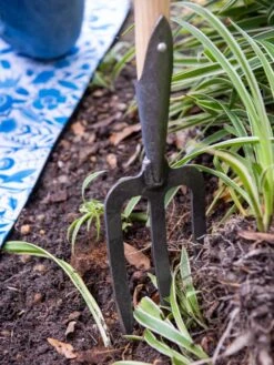 Gardener’s Lifetime Perennial Fork With Short T-Handle 7 Gardener’s Lifetime Perennial Fork With Short T-Handle -Garden Care Store 8600311 3434 tif