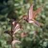 Hummingbird Cottage Copper Weathervane With Roof Mount -Garden Care Store 8600377 03v hummingbird cottage weathervane roof mount 1