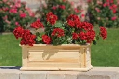 Savannah Window Boxes 16 Savannah Window Boxes -Garden Care Store 8600461 04V tif