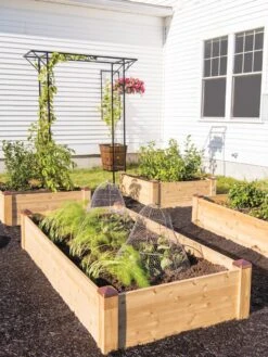Copper Cap Raised Beds -Garden Care Store 8600497 0530 tif