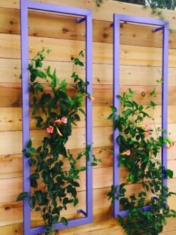 Ina Modern Wall Trellis Sr. 14 Ina Modern Wall Trellis Sr. -Garden Care Store 8600510 07V tif