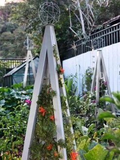 Akoris Garden Tuteur Jr. -Garden Care Store 8600517 07V tif